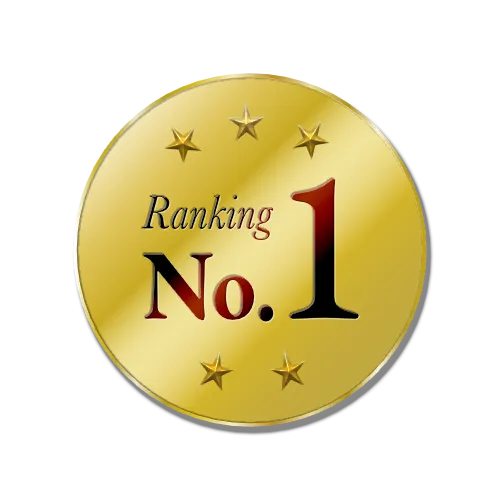 メダルに使用した例